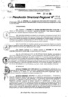 Vista preliminar de documento RDR 9954-2024