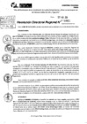 Vista preliminar de documento RDR 9955-2024