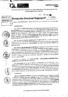 Vista preliminar de documento RDR 9958-2024
