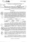 Vista preliminar de documento RDR 9715-2024