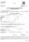 Vista preliminar de documento Anexo 1 - Formato de Certificado positivo de Sucesión Intestada 