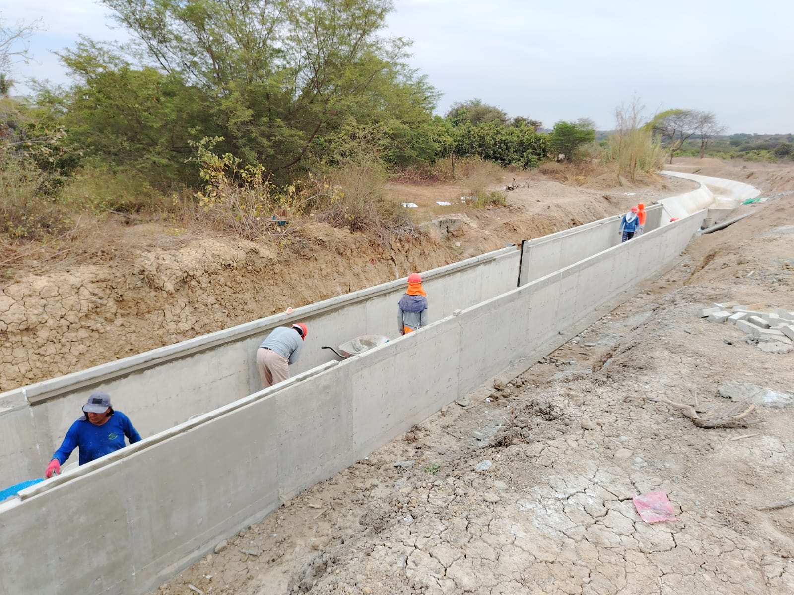 Con obra de Canal T-28 en Valle de Los Incas-Tambogrande, GORE mejorará producción de mango y limón 