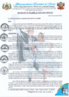 Vista preliminar de documento RA 340-2024 reconocimiento COMITE PVL SARIN
