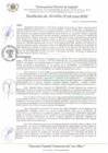Vista preliminar de documento RA_318_2024_MDI