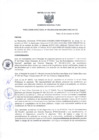 Vista preliminar de documento RESOLUCIÓN DIRECTORIAL N° 800-2024-HNSLMP