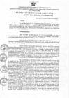 Vista preliminar de documento RDE Nº  089-2024-OAL