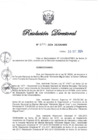 Vista preliminar de documento RD N° 294-2024