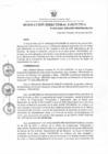 Vista preliminar de documento RDE Nº  093-2024-OAL