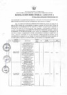 Vista preliminar de documento RDE Nº  094-2024-OAL