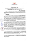 Vista preliminar de documento RD Nº 247