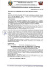 Vista preliminar de documento RESOLUCION DE ALCALDIA N°249-2024-MDPN