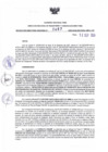 Vista preliminar de documento RDR N° 467-2024-12-09-2024