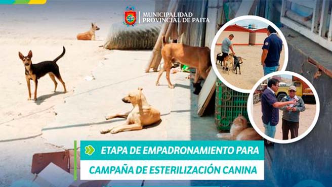 Iniciamos etapa de empadronamiento para la campaña de esterilización canina