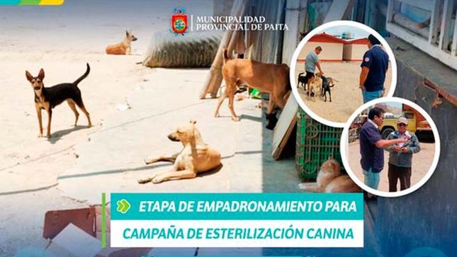 Iniciamos etapa de empadronamiento para la campaña de esterilización canina