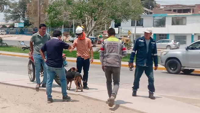Iniciamos etapa de empadronamiento para la campaña de esterilización canina