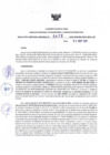 Vista preliminar de documento RDR N° 477-2024-17-09-2024