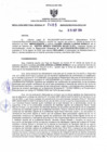Vista preliminar de documento RDR N° 485-2024-19-09-2024