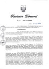 Vista preliminar de documento RD N° 313-2024