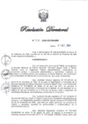 Vista preliminar de documento RD N° 315-2024