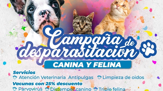 🐾MPA: ¡Ven Con Tu Mascota Y Participa En La Gran Campaña De Desparasitación Gratuita!🐾
