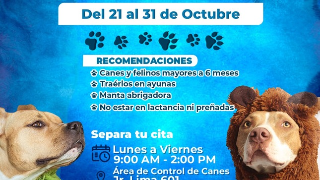 🐶🐾“X Campaña De Esterilización Para Perros Y Gatos 2024”🐾🐈