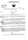 Vista preliminar de documento RDR 9913-2024