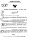 Vista preliminar de documento RDR 9912-2024