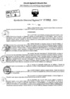 Vista preliminar de documento RDR 9911-2024