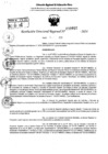 Vista preliminar de documento RDR 9910-2024