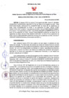 Vista preliminar de documento RD Nº248
