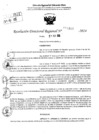 Vista preliminar de documento RDR 10165-2024
