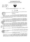 Vista preliminar de documento RDR 10166-2024