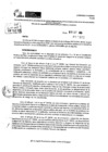 Vista preliminar de documento RDR 10402-2024