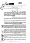 Vista preliminar de documento RDR 10171-2024