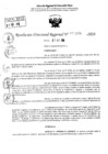 Vista preliminar de documento RDR 10176-2024