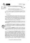 Vista preliminar de documento RDR 10453-2024