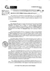Vista preliminar de documento RDR 10454-2024