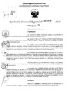Vista preliminar de documento RDR 10479-2024