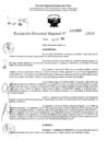 Vista preliminar de documento RDR 10480-2024