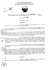 Vista preliminar de documento RDR 10481-2024