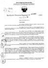 Vista preliminar de documento RDR 10482-2024