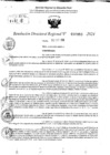 Vista preliminar de documento RDR 10483-2024