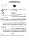 Vista preliminar de documento RDR 10484-2024