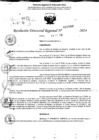 Vista preliminar de documento RDR 10507-2024