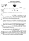 Vista preliminar de documento RDR 10534-2024