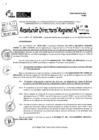Vista preliminar de documento RDR 10538-2024