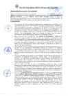 Vista preliminar de documento ra_315_2024
