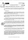 Vista preliminar de documento RDR 10563-2024