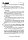 Vista preliminar de documento RDR 10587-2024