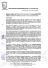 Vista preliminar de documento RESOLUCION DE GM Nº 074-2024-GMVES